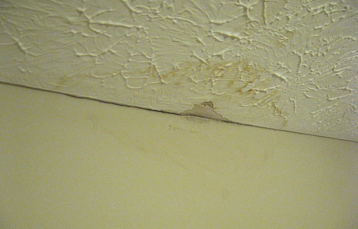 Brown water stain spreading across a white ceiling